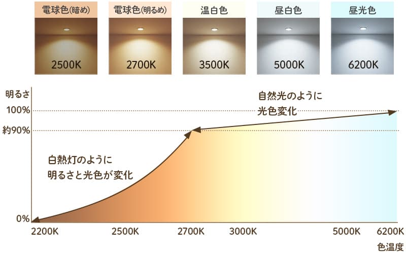 ケルビンについて 明るさ グラフ