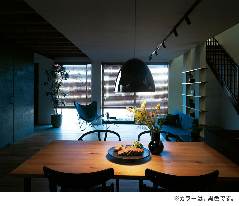 黒色 ドーム形 オーデリック製ペンダントライト OP252916LR OD-0690E-BK