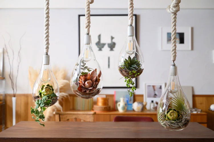 ハンギングテラリウム フェイクグリーン スワン電器製ペンダントライト APE-020FGJ/L SW-0104E-CL